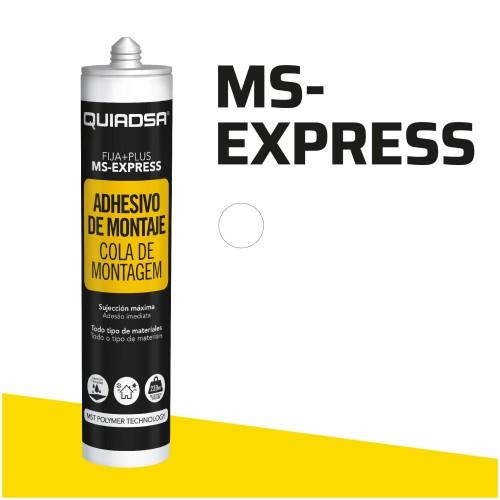 MS-Express